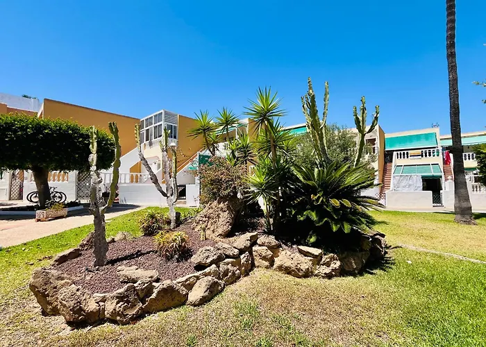 Serenity Oasis * Torrevieja