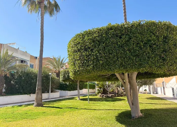 Appartement Serenity Oasis *