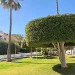 Апартаменты Serenity Oasis *